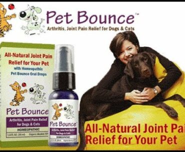 Complete Chewable Multi-Vitamin for Pet Supplement