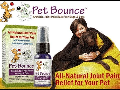 Complete Chewable Multi-Vitamin for Pet Supplement