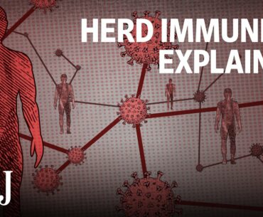 What It Would Take to Reach Herd Immunity | WSJ