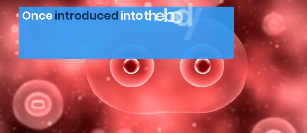 stronger immune systems - Immune Defence Review