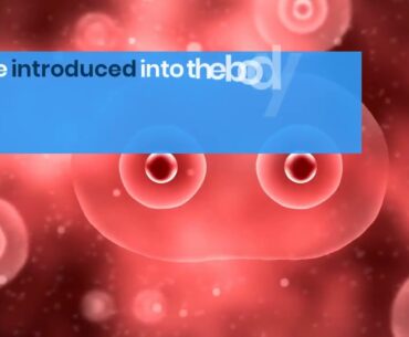 stronger immune systems - Immune Defence Review