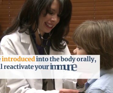 best supplements for immune system - Immune Defence Review