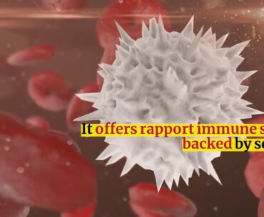 zinc for immunity - Immune Defence Review