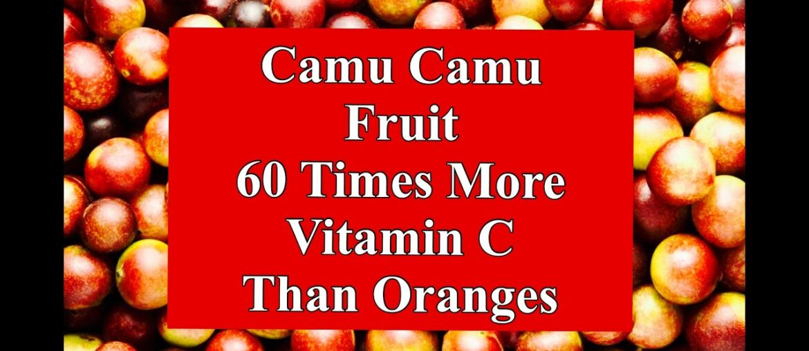 Camu Camu Fruit 60 Times More Vitamin C Than Oranges