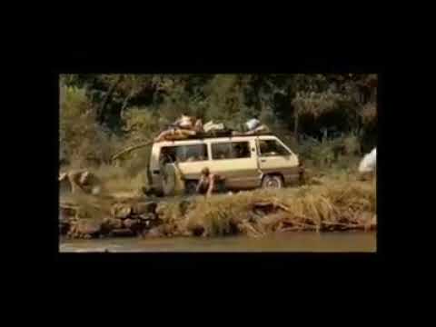 HOW TO BOOST IMMUNE SYSTEM BY 437% TO COMBAT COVID 19 AND OTHER RELATED DISEASES?