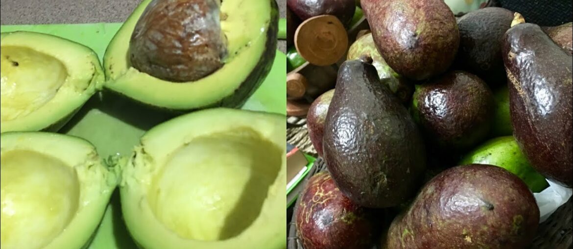 IS IT HEALTHY TO EAT AN AVOCADO A DAY?