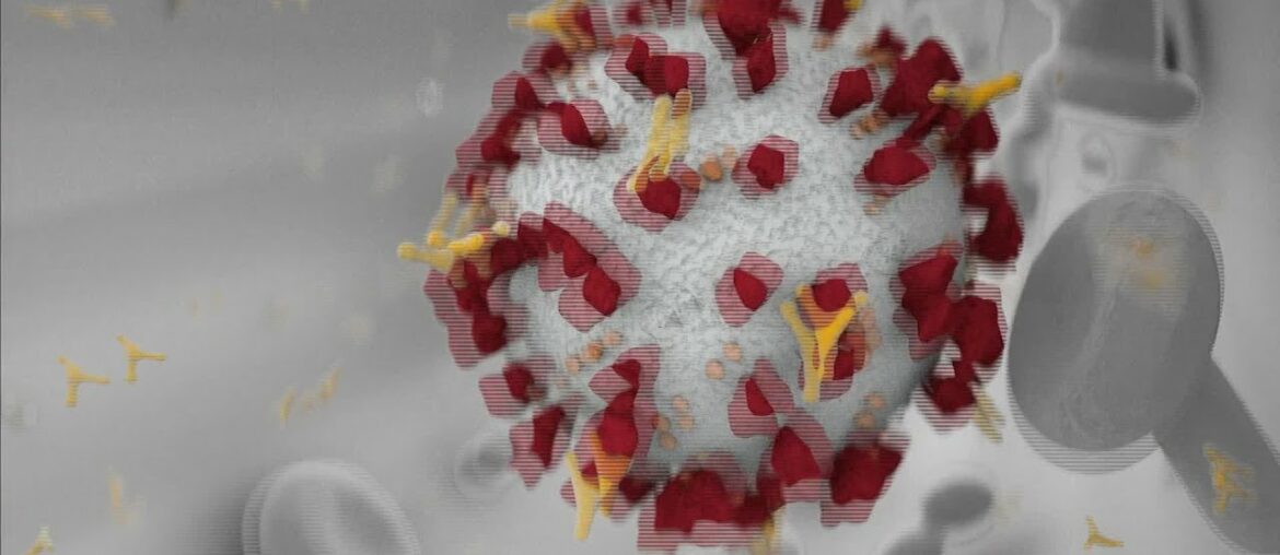 Health Minute: COVID-19 immunity may not last long