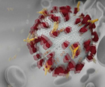 Health Minute: COVID-19 immunity may not last long