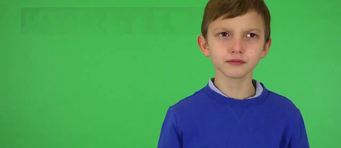 vitamin c and immune system - Immune Defence Review