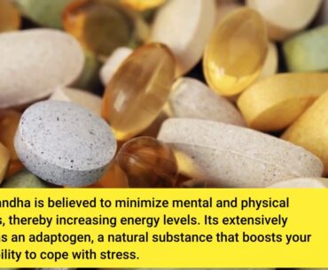 The Greatest Guide To Vitamin and Mineral Supplement Fact Sheets