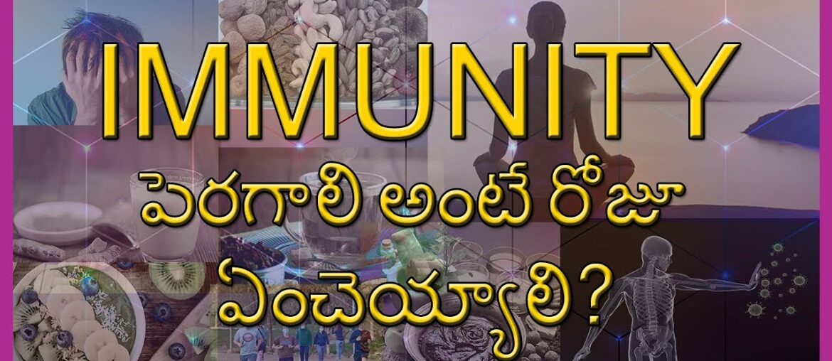 Immunity Boosting Daily Diet in Telugu  - Daily Routine /Eeshan Tutorials