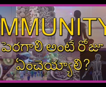 Immunity Boosting Daily Diet in Telugu  - Daily Routine /Eeshan Tutorials