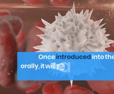 immune health vitamins - Immune Defence Review