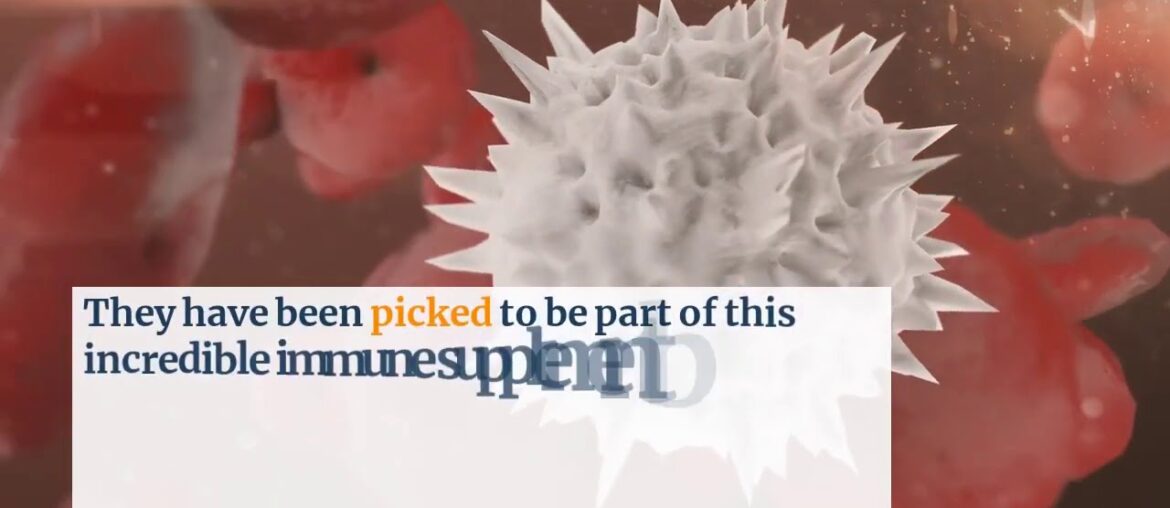 foods good for immune system - Immune Defence Review