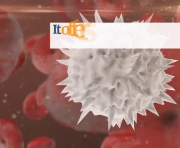 how do i boost my immune system - Immune Defence Review