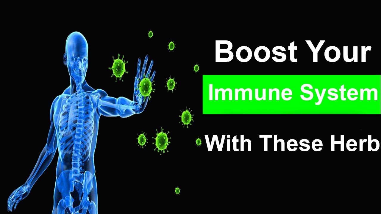How to Boost Your Immune System in Natural Way