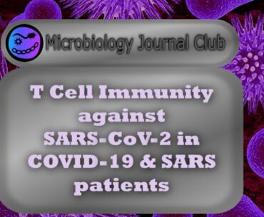 T-Cell Immunity to SARs-CoV 2 in COVID-19 and SARS Patients