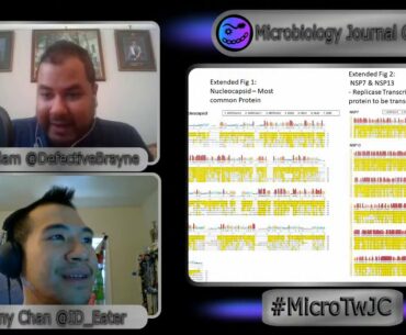 T-Cell Immunity to SARs-CoV 2 in COVID-19 and SARS Patients -Deep Dive