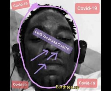 Earth Tea for Covid-19 and our Immune system