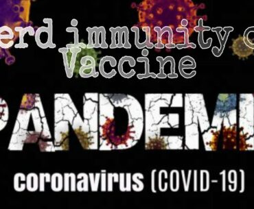 Vaccine or Herd immunity |only solution for covid 19|