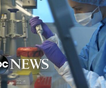 Russia claims it’s in the last phase of COVID-19 vaccine trials