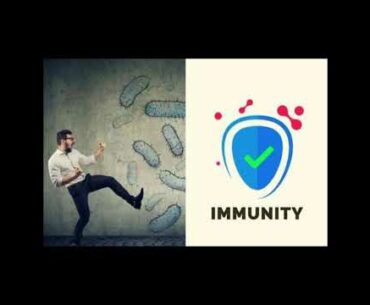 IMMUNITY LEVELS IMPROVE FOR THIS VITAMINS