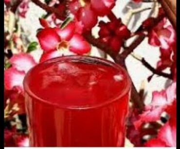 Tea for Boosting Immune System | COVID-19 Immunity Booster | Herbal Tea | Part-2