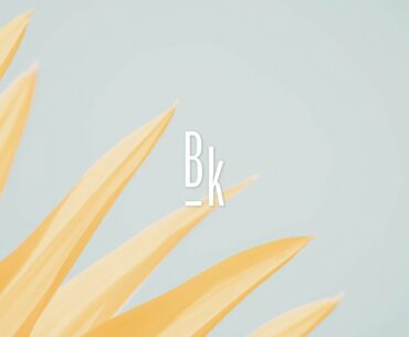 Sun Gums - BK NUTRITION