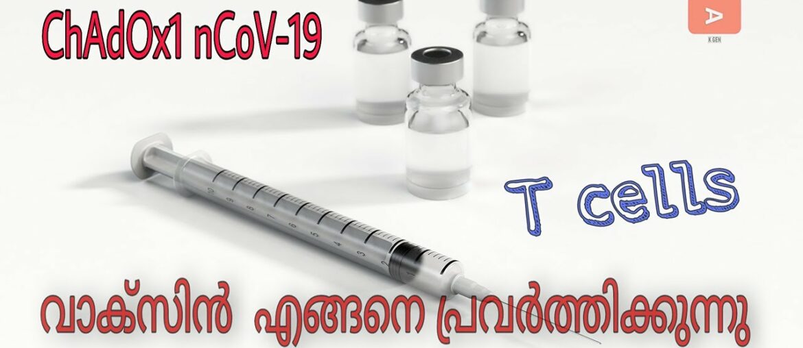chadox1 covid vaccine |  immune system  | akgen  | malayalam