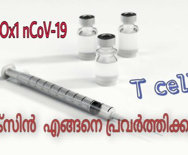 chadox1 covid vaccine |  immune system  | akgen  | malayalam