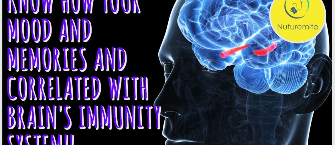 Know how your Mood and Memories are correlated with Your Brain's Immune System!: Nuturemite