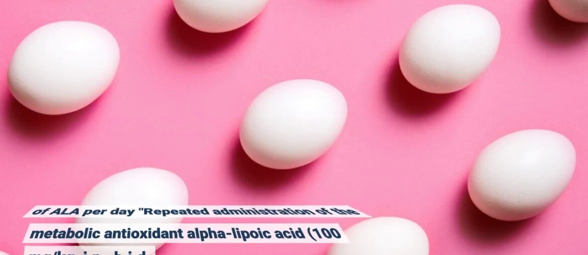 The Only Guide to Vitamins & Supplements Online Store - Best Multivitamins at