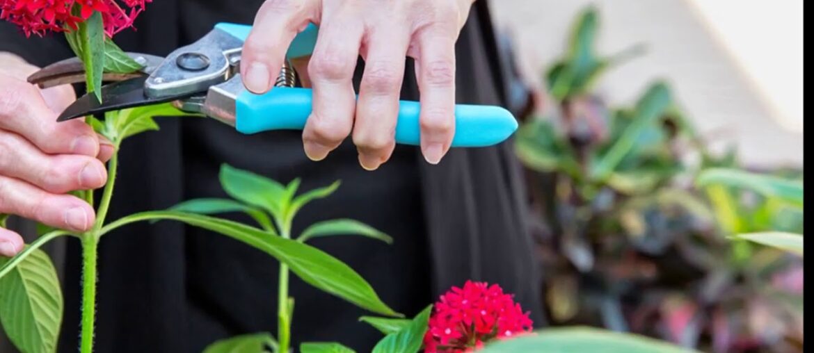 How Supplement and Herb Guide for Arthritis Symptoms - Arthritis can Save You Time, Stress, and...