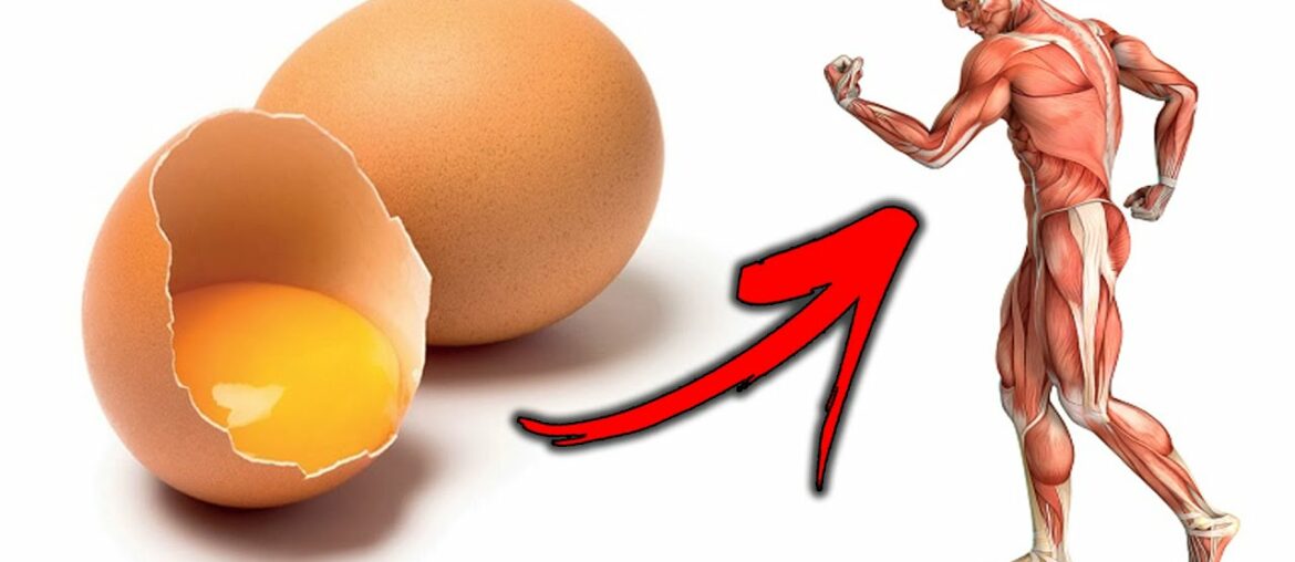 What Will Happen To You If You Start Eating 2 Eggs a Day