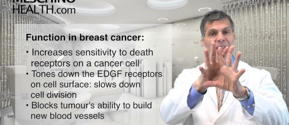 Vitamin E Succinate in Nutritional Management of Cancer Patients and Survivors