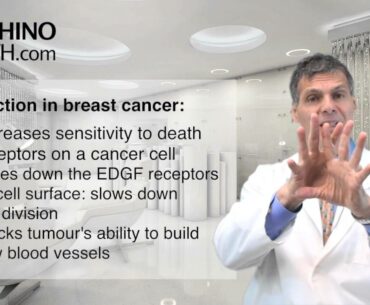 Vitamin E Succinate in Nutritional Management of Cancer Patients and Survivors