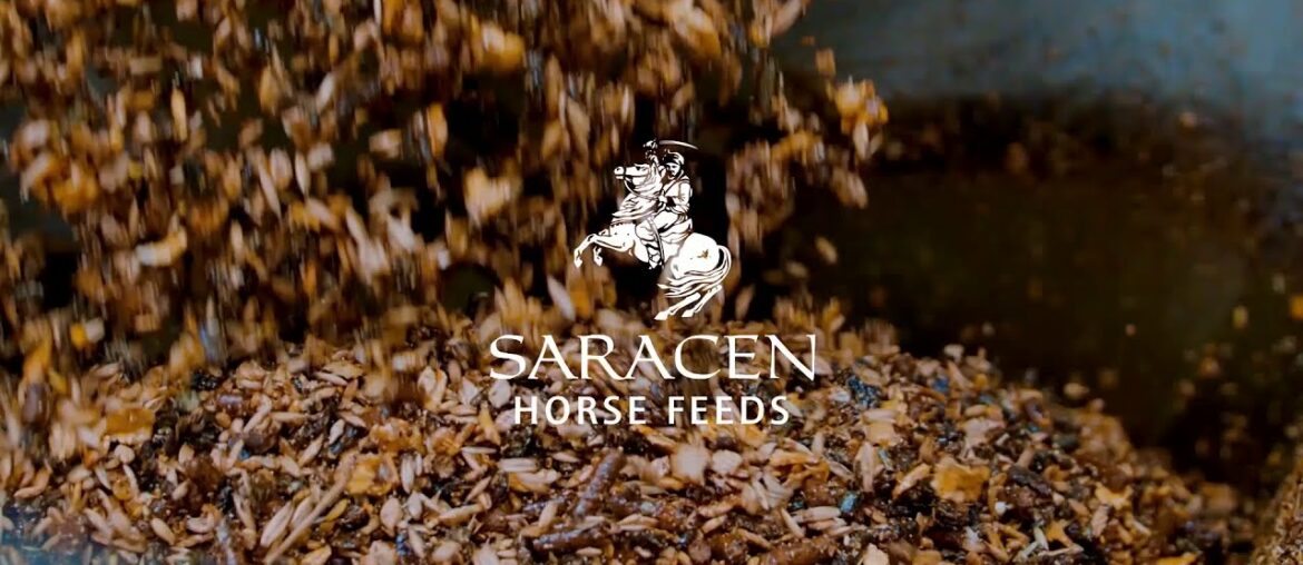 Saracen Horse Feeds  Enduro Performance