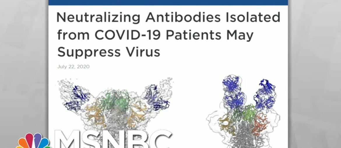 Isolated Coronavirus Antibodies Offer Hope For Vaccine, Treatment | Rachel Maddow | MSNBC