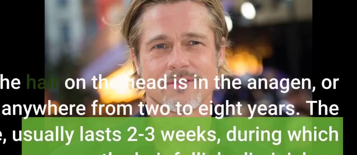 Get This Report about How to know if hair loss is a more serious health issue - Insider