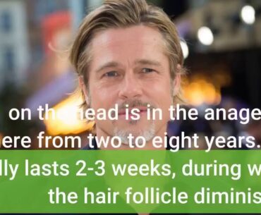 Get This Report about How to know if hair loss is a more serious health issue - Insider