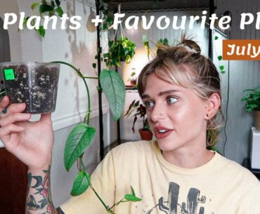 Plant Haul + 5 Favourite Plants of July
