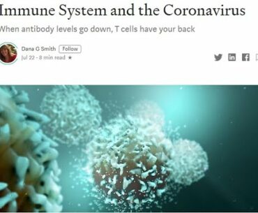 There’s Good News About Your Immune System and the Coronavirus