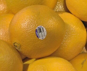 Can Vitamin C Boost Immunity?