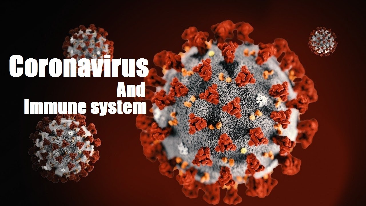How To Boost your Immune System |Corona-Virus|