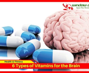 6 Types of Vitamins for the Brain that You Must Take