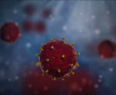 This molecule may be the key to prevent the coronavirus from replicating