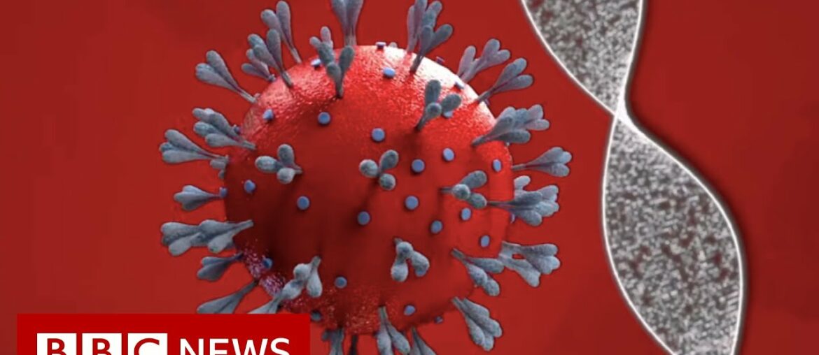 Coronavirus vaccine: How close are we and who will get it? - BBC News