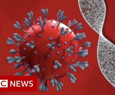 Coronavirus vaccine: How close are we and who will get it? - BBC News