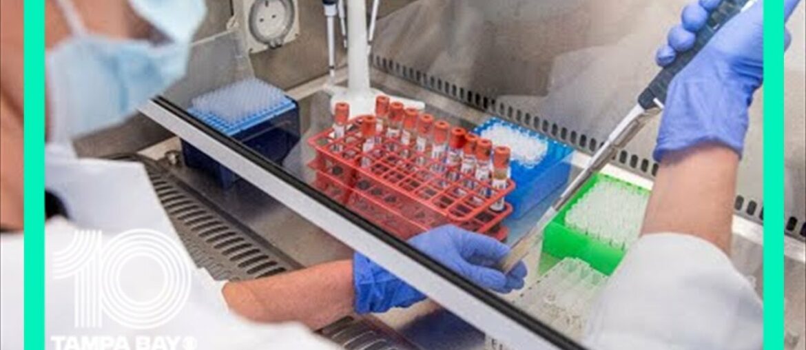 T-helper cells may be more important than antibodies in fighting COVID-19