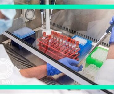 T-helper cells may be more important than antibodies in fighting COVID-19